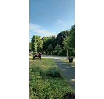 Top modernes Einfamilienhaus 145 qm in ruhiger Lage (Kfw55!!) - Delbrück