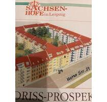 Attraktive 3-Zimmer-Wohnung in Leipzig Zentrum-Süd