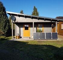 Kleines Blockbohlenhaus zu vermieten 2 Zi. Bad +11 m² Terrasse - Bohmte