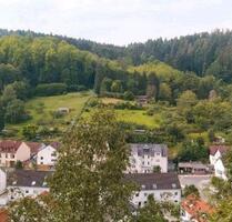 Zweifamilienhaus, tolle Lage, Wohnungen saniert, neue Wärmepumpe - Weinheim