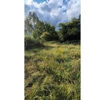 Garten Grundstück Stückle - 60,00 EUR Kaltmiete, ca.  0,00 m² in Ludwigsburg (PLZ: 71642) Hoheneck