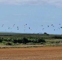 Ferienwohnung zu vermieten - Fehmarn
