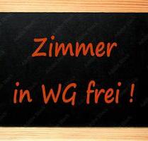 WG Zimmer ab sofort - 800,00 EUR Kaltmiete, in Berlin (PLZ: 13439) Reinickendorf
