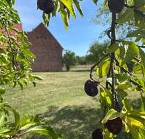 VIER-SEITEN-HOF in Spremberg direkt vom Eigentümer
