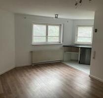 2 Zimmer Einliegerwohnung 46qm in Radolfzell zu vermieten - Radolfzell am Bodensee