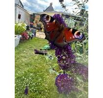 Doppelhaushälfte zu Verkaufen - 410.000,00&nbsp;EUR Kaufpreis, ca.&nbsp; 145,00&nbsp;m&sup2; in Oberhausen (PLZ: 46047) Alt-Oberhausen