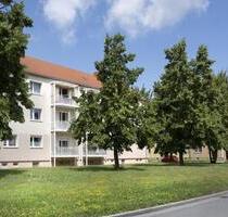 Schön hier...2 Kaltmieten Erlass - Halberstadt
