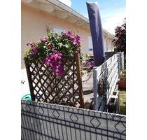 Charmante 2-Zimmer-Wohnung mit Gartenanteil in Hofkirchen zu verm - Schöllnach