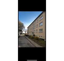 2-Raum Wohnung - 350,00 EUR Kaltmiete, ca.  50,00 m² in Usedom (PLZ: 17406)