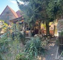 Leben auf dem Dorf 2 Zi. Wohnung zur Untermiete. - Klostermansfeld
