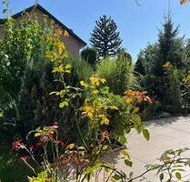 Ferienhaus Monteurzimmer in Lippstadt