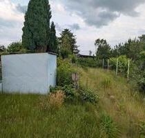 Kleingarten in Raunheim mit Hütte und Brunnen zu verpachten - Sprendlingen