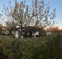 Schöner Kleingarten in BrockwitzCoswig abzugeben