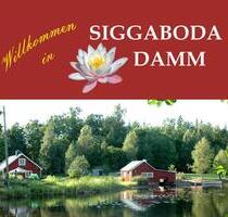 Großes Haus am See Småland noch frei 16. - 23. August 25 - Remscheid Remscheid-Süd