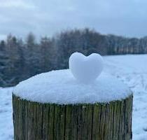 Ferienwohnung in WINTERBERG Niedersfeld - Marl