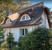 Freier Termin AugustBesonderes Ferienhaus Ostsee Insel Usedom - Koserow