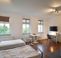 Vollmöblierte 2-Zimmer in Zwickau – Monteure, Handwerker, Kurzzeitmiete.