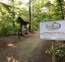 1 Beisetzungsstelle im Ruheforst Germershausen bei Marburg frei - Amöneburg