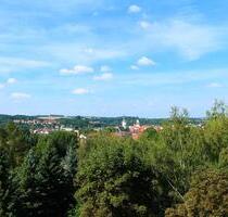 Ausblick ins Grüne - 245,00 EUR Kaltmiete, in Döbeln (PLZ: 04720)