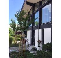 FERIENHAUS am Chiemsee - 40,00 EUR Kaltmiete, in Chieming (PLZ: 83339)