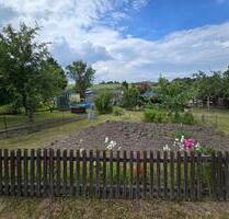Pachtgarten 300m2 - 1.000,00 EUR Kaltmiete, ca.  0,00 m² in Weißensee (PLZ: 99631)