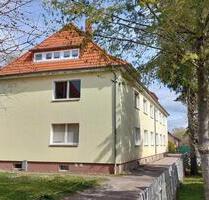 schöne helle, frisch renovierte 2-Raum Wohnung in Neumark - Braunsbedra