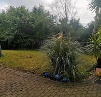 3,5 Zimmer Wohnung mit Garten am Zentrum Osterodes gelegen diream - Osterode am Harz