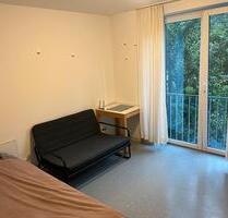 Schöne 1Zi. Wohnung Zwischenmiete bis zum 31.03.2026 ab sofort - Würzburg Frauenland