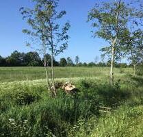 Gartenparzelle in Nordhackstedt - Schafflund