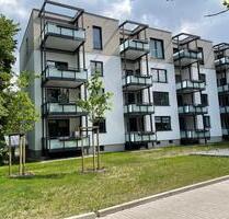 Licht. Luft. Leben. - Moderne Wohnung mit Wohlfühlfaktor in Vorsfelde! - Wolfsburg Alt-Wolfsburg