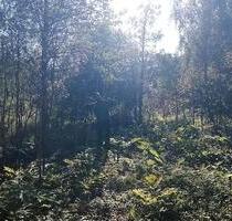 Naturschutzgebiet zum abweiden - 5,00 EUR Kaltmiete, ca.  0,00 m² in Tangstedt (PLZ: 22889)