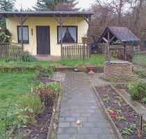 „Letzte Chance“ Garten auf Pachtland abzugeben - Eisenhüttenstadt