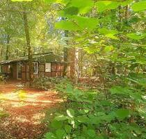 #ÄLTERES, KLEINES HAUS, 2.800QM² WALDGRUNDSTÜCK,OHNE COURTAGE# - Hollenstedt