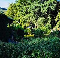 Kleingarten abzugeben - 500,00 EUR Kaltmiete, ca.  0,00 m² in Zschopau (PLZ: 09405)