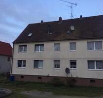 Helle, renovierte große 1-Zi.Whg in Hakeborn - Börde-Hakel