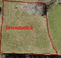 Grundstück - 11,00 EUR Kaltmiete, ca.  0,00 m² in Lasel (PLZ: 54612)