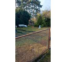 Schöner Garten WINTERPREIS - 850,00&nbsp;EUR Kaltmiete, ca.&nbsp; 0,00&nbsp;m&sup2; in Weißwasser (Oberlausitz) (PLZ: 02943)