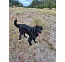 Kleines Haus oder Erdgeschosswohnung - Solms