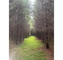 Waldgrundstück - 7,00 EUR Kaltmiete, ca.  0,00 m² in Pfaffenhofen an der Ilm (PLZ: 85276)
