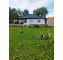 Haus mit PferdehaltungTierhaltung - Salzatal