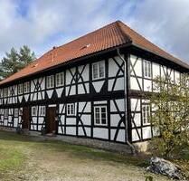 Wunderschöne frisch renovierte Fachwerk-Doppelhaushälfte in landschaftlich reizvoller Lage - Bad Gandersheim