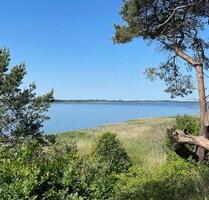 NORDISCH*KLAR*AM WASSER Ferienhaus auf Usedom in schönster Lage