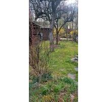 Pacht: Garten Neustadt Orla, Hütte, Fischteich, Obstbäume, Strom - Neustadt an der Orla