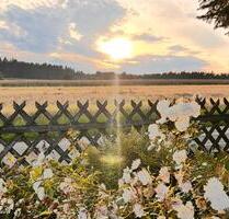 Wunderschönes Schwarzwaldhäusle in fast Alleinlage - Neuweiler