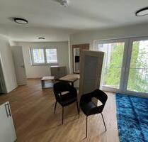 !!! Großzügige Möblierte 1-Zimmer-Wohnung ab 01.07.2025 !!! - Nürnberg Gibitzenhof