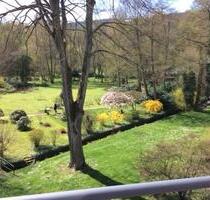 Singles !!! 2 ZKB und Balkon mit Blick ins Grüne ab 01.12.2025 - Oberursel (Taunus)