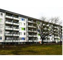 möblierte 2-Raum Wohnung ab April 2025 - Nünchritz