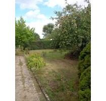 Pachtgarten, Garten in Kölleda, Paradies