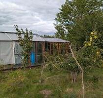 Kleingarten in Halle Ost ab Frühjahr 2026 abzugeben. - Halle (Saale) Am Wasserturm/Thaerviertel
