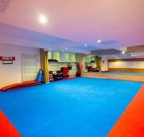 Kampfsportraum kleines Dojo, Karate, Judo Raum in Steglitz - Berlin Steglitz-Zehlendorf